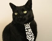 _ATP和WTA年度总决赛：顶尖玩家最后的角逐_，atp年终总决赛冠军排名