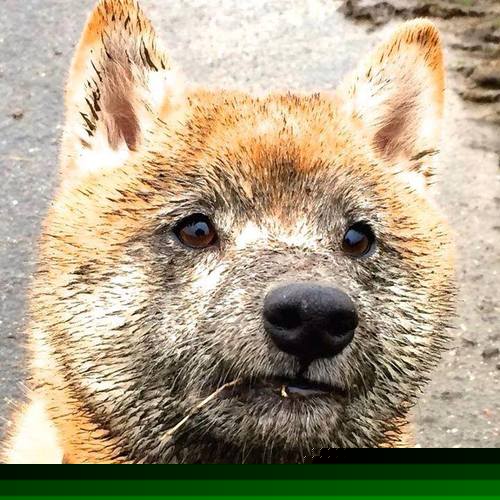 kaiyun体育app-_终极对决：高手过招引发空前关注_，终极对决里面百科