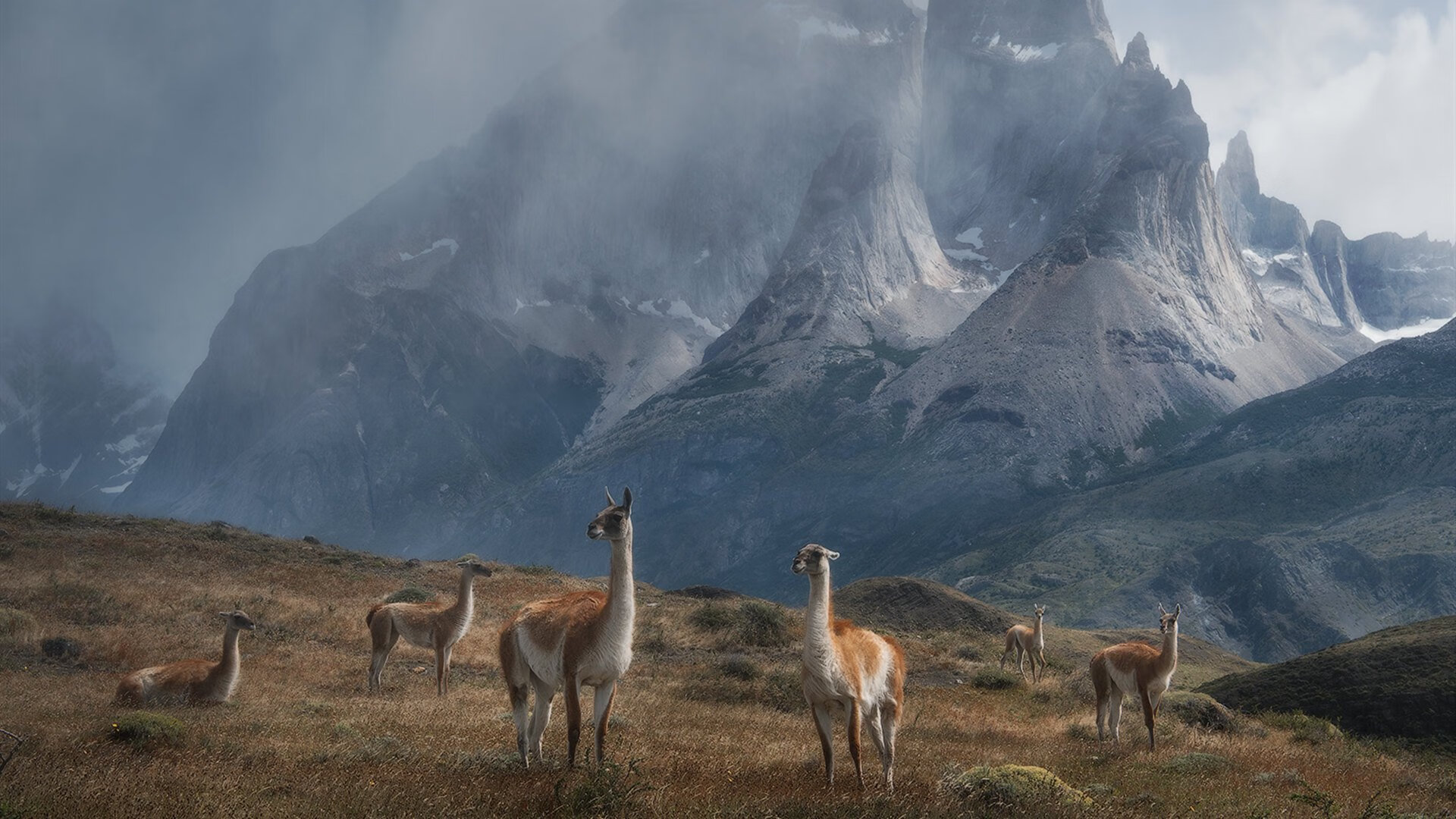 开云官方网页登录-“未来之星”青少年篮球明星训练营在深圳圆满举办，未来的篮球之星什么意思