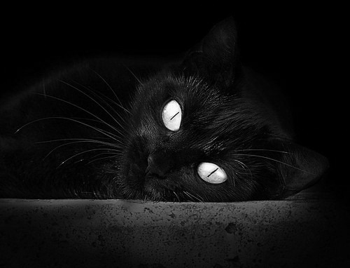 “西甲豪门鏖战数轮,夺冠形势逐渐清晰”,西甲豪门球队