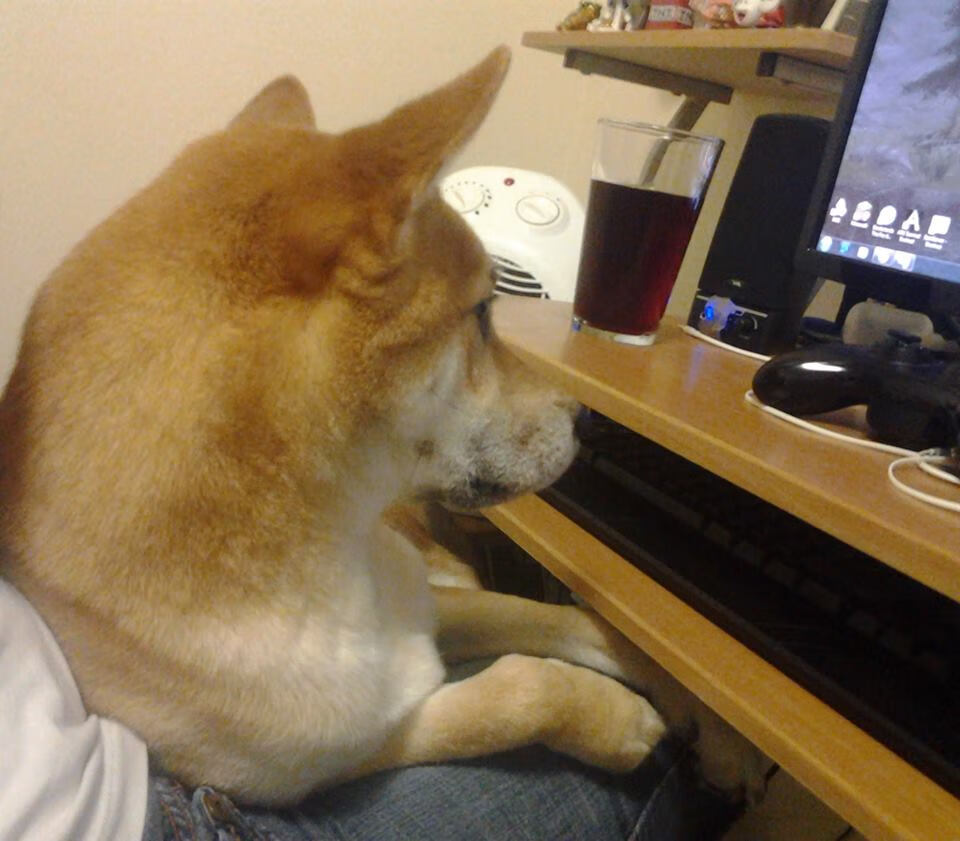 奥运半决赛：阿根廷再战巴西，烽火重燃，奥运会阿根廷夺冠视频