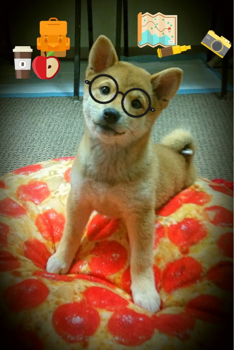 kaiyun开云·官方网站-瑞士队前锋洛佩斯在巴黎奥运会上表现出色，洛佩斯退役