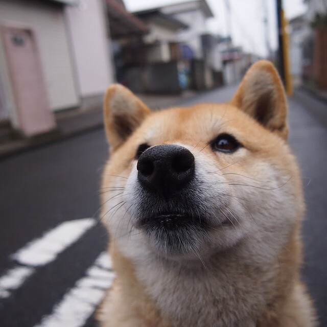 kaiyun登录入口-瑞士队在巴黎奥运会比赛中多次通过中路渗透得分，奥运会瑞士队服
