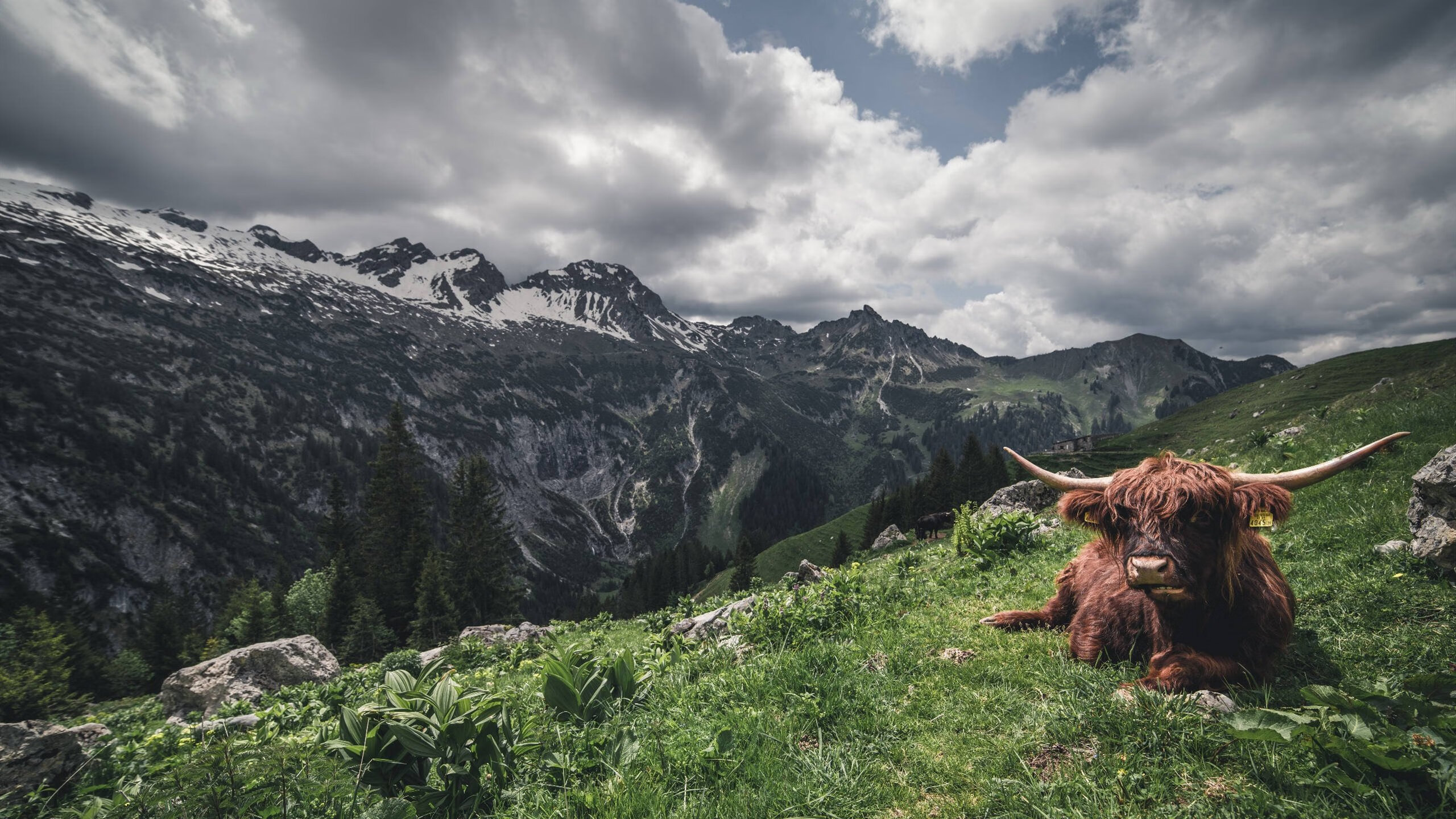 糖果传奇“甜蜜争霸”线上竞速赛火热开启,糖果传奇在线玩