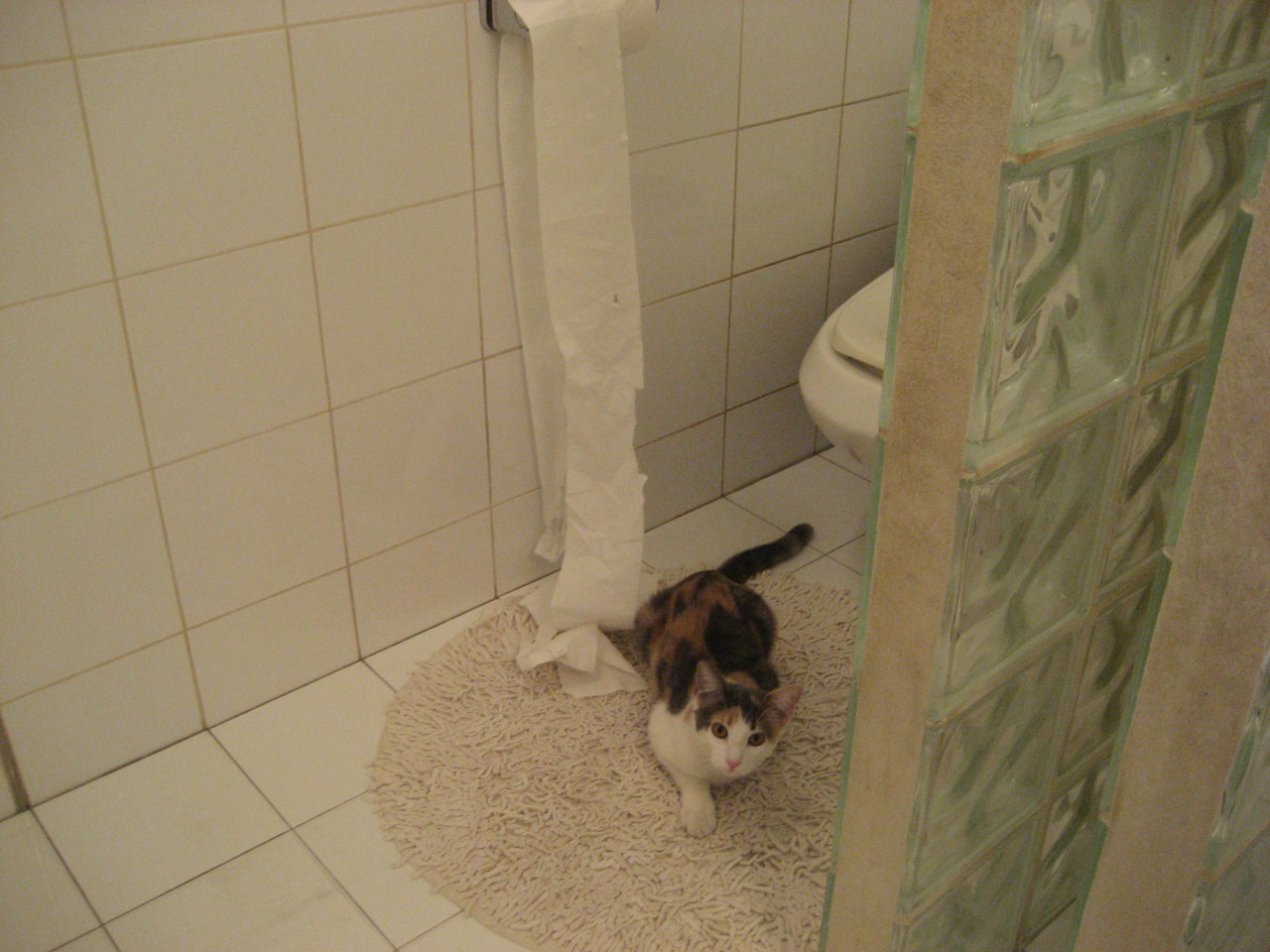 开云入口-足球场馆数字管理系统覆盖全国，提升运营效率，足球比赛场馆