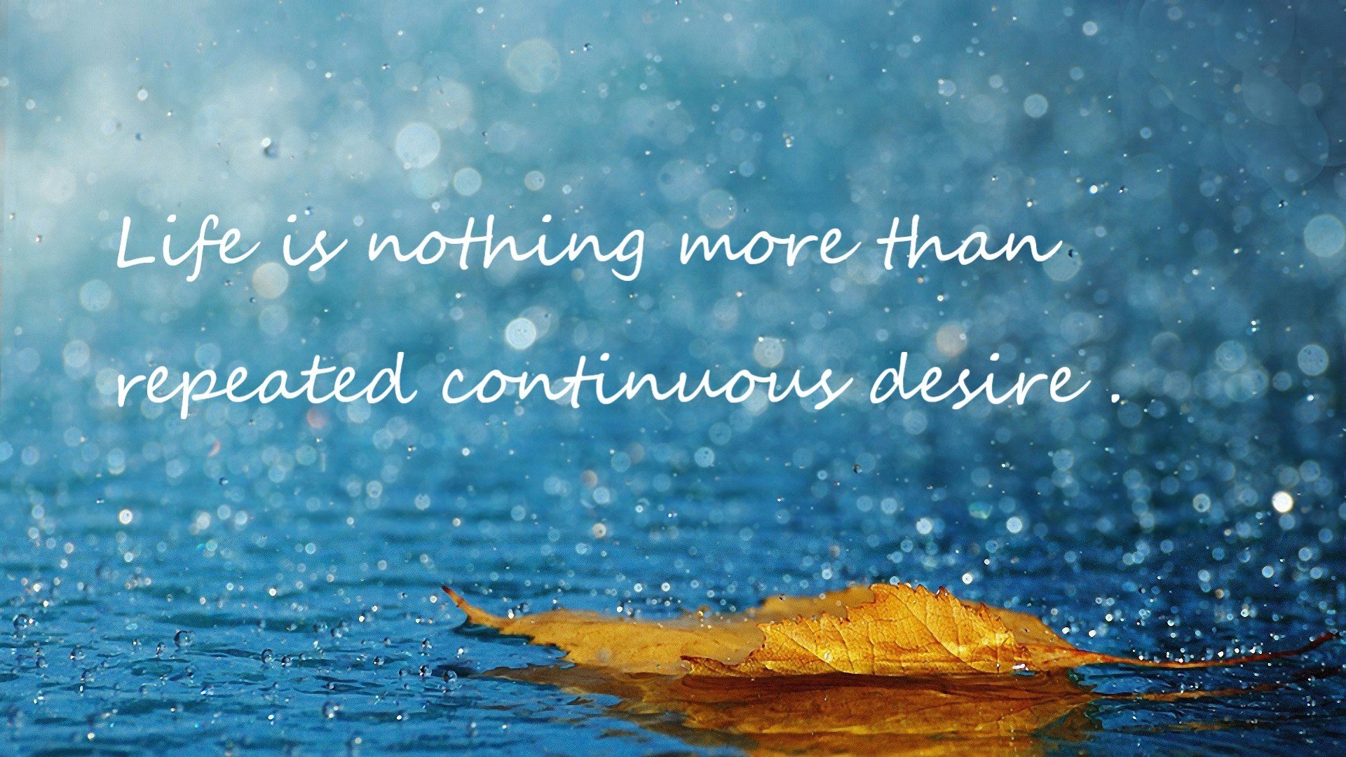 Kaiyun APP-全场篮球赛季关键胜负，篮球全场赛制