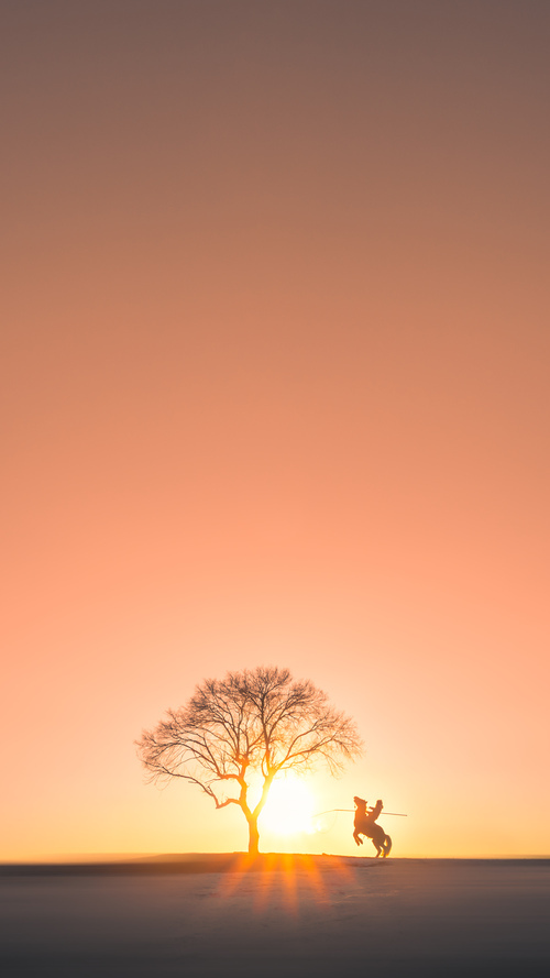 公牛险胜湖人,关键一役中德罗赞连续抢断建功,公牛德里克罗斯图片