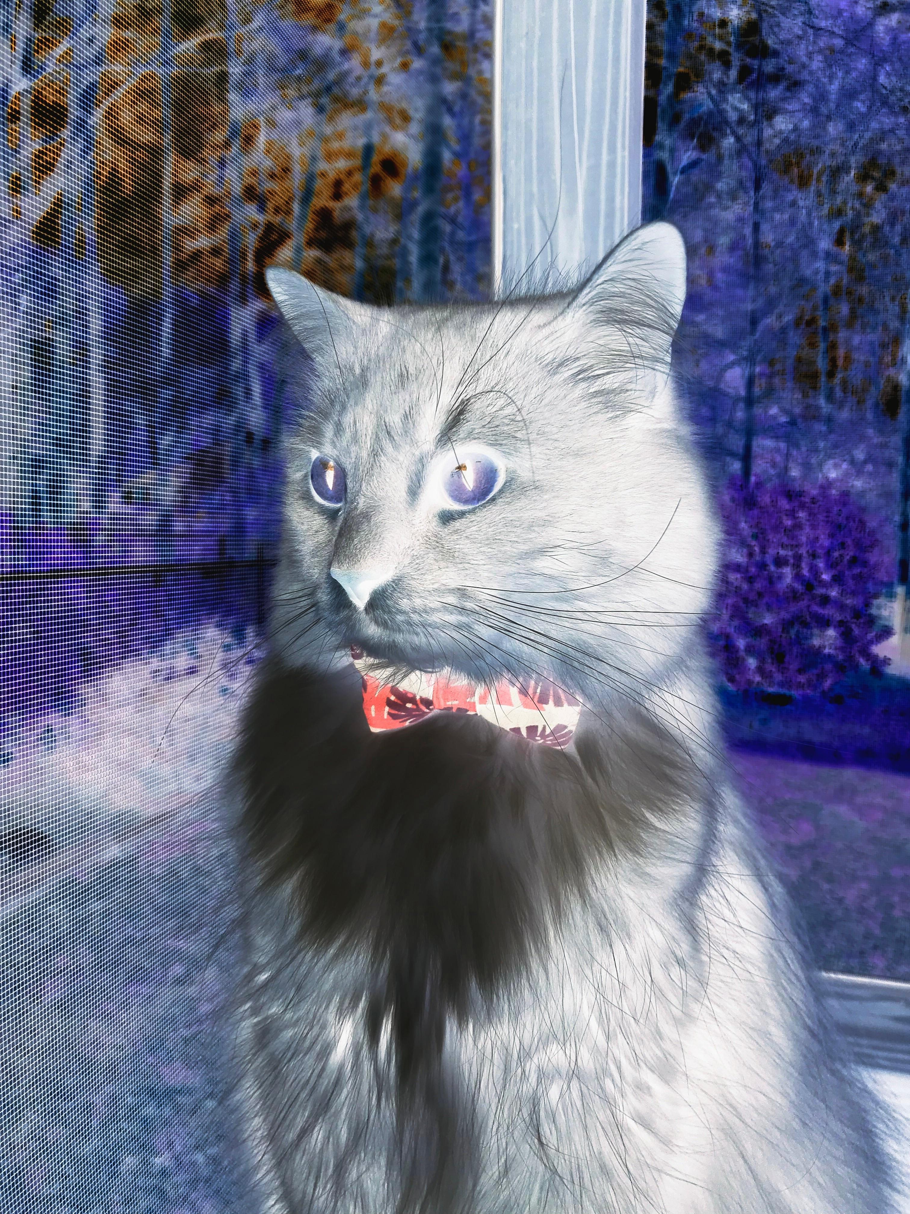 国足在国际友谊赛中的战术演练分析，国足 友谊赛