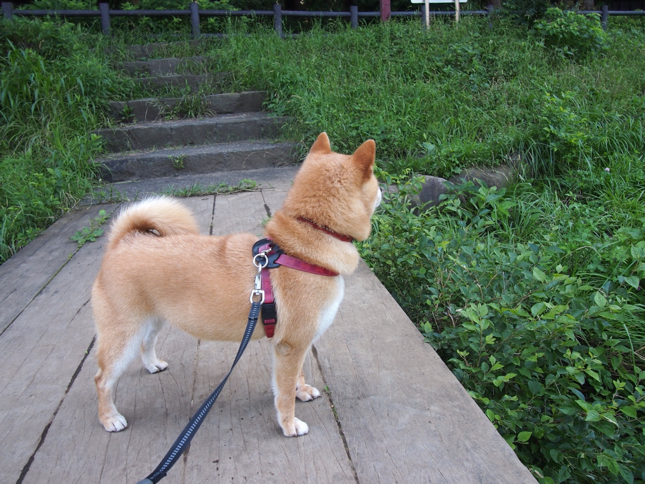 比利亚雷亚尔客场不敌埃瓦尔，遭遇失利，比利亚雷对埃瓦尔