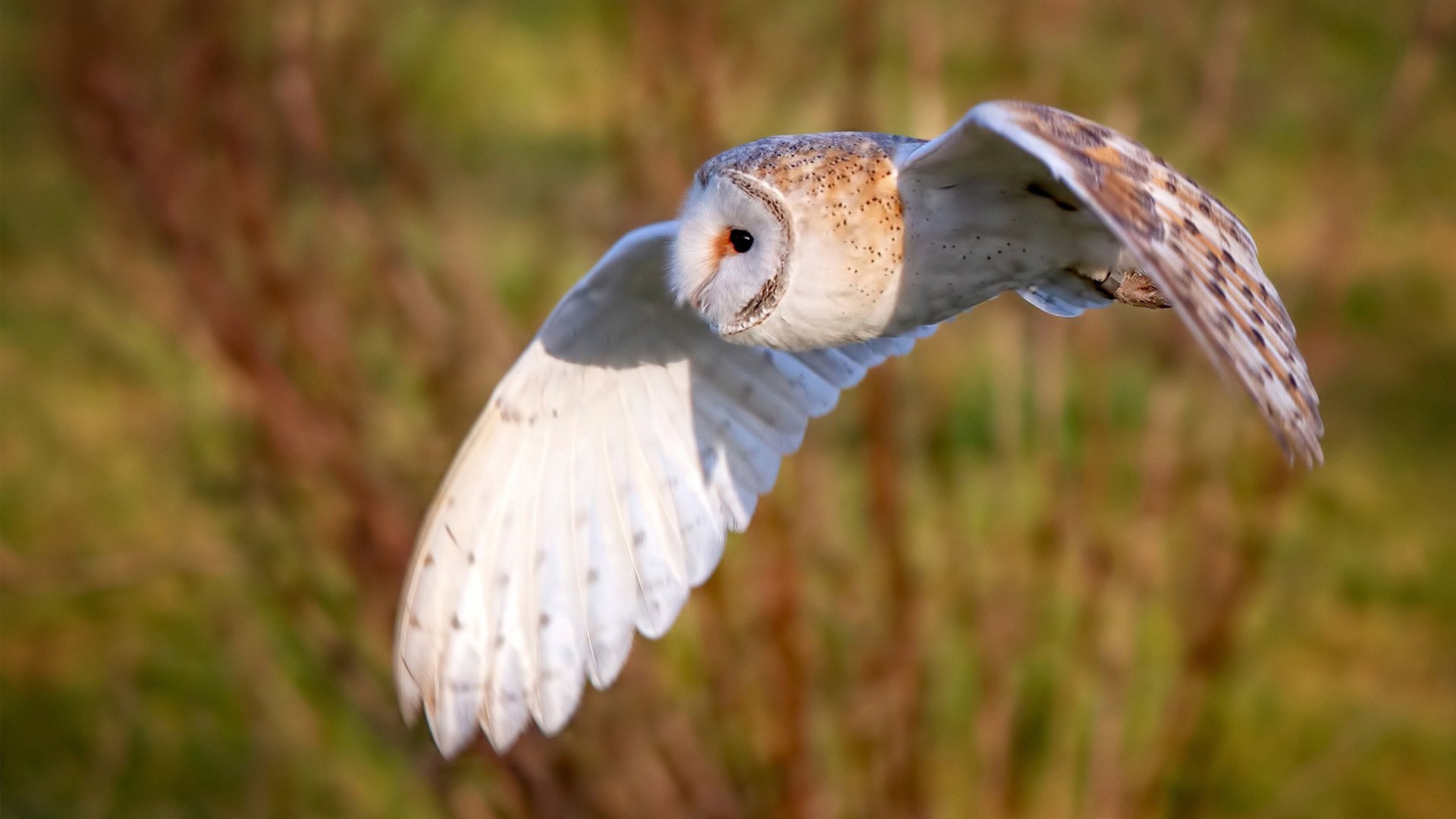 比利亚雷亚尔客场战平对手，积分略有增加，比利亚雷亚尔什么水平