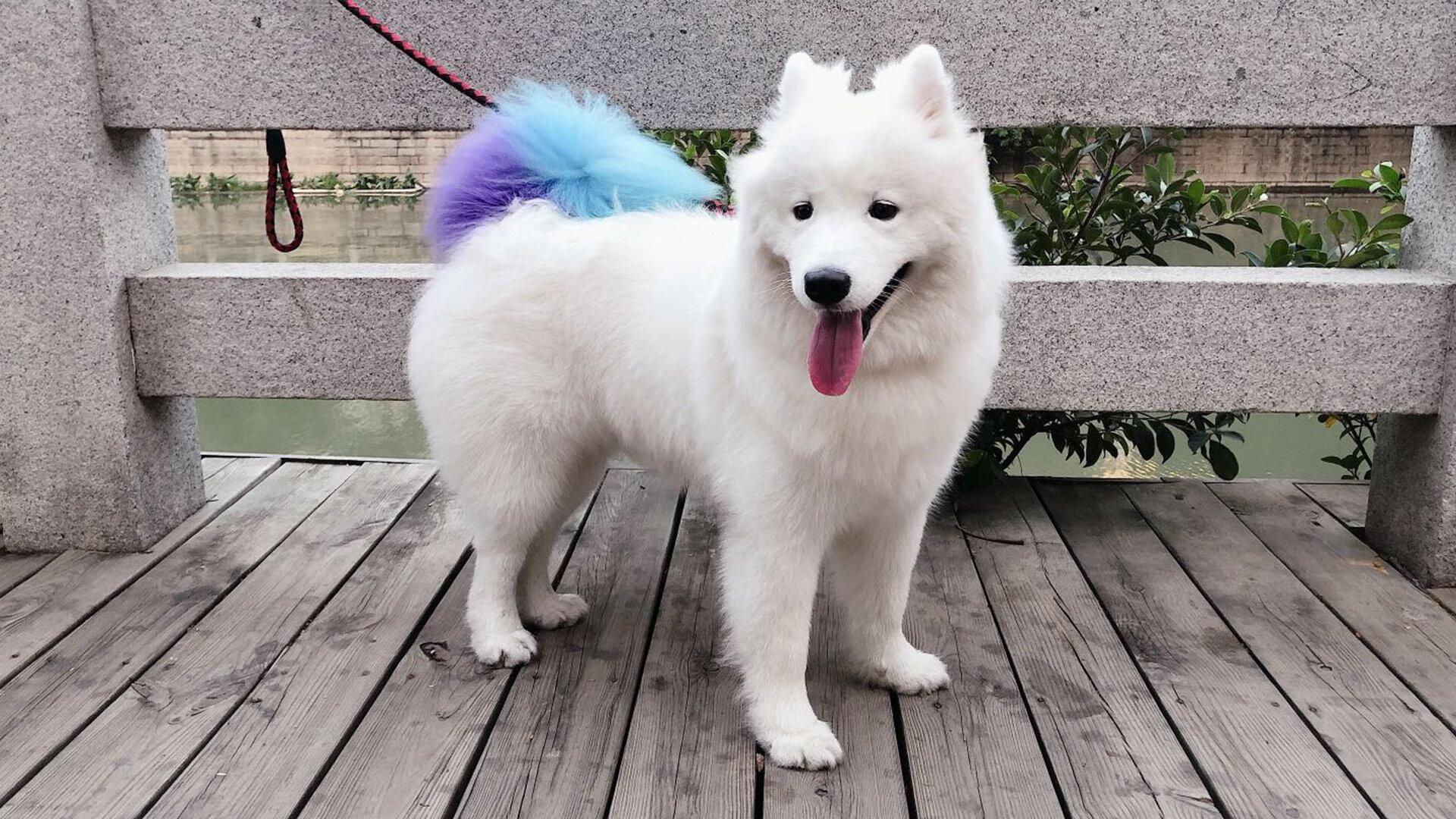 电竞游戏赛事数据挖掘技术在战术分析中的创新应用，大数据技术电竞数据分析