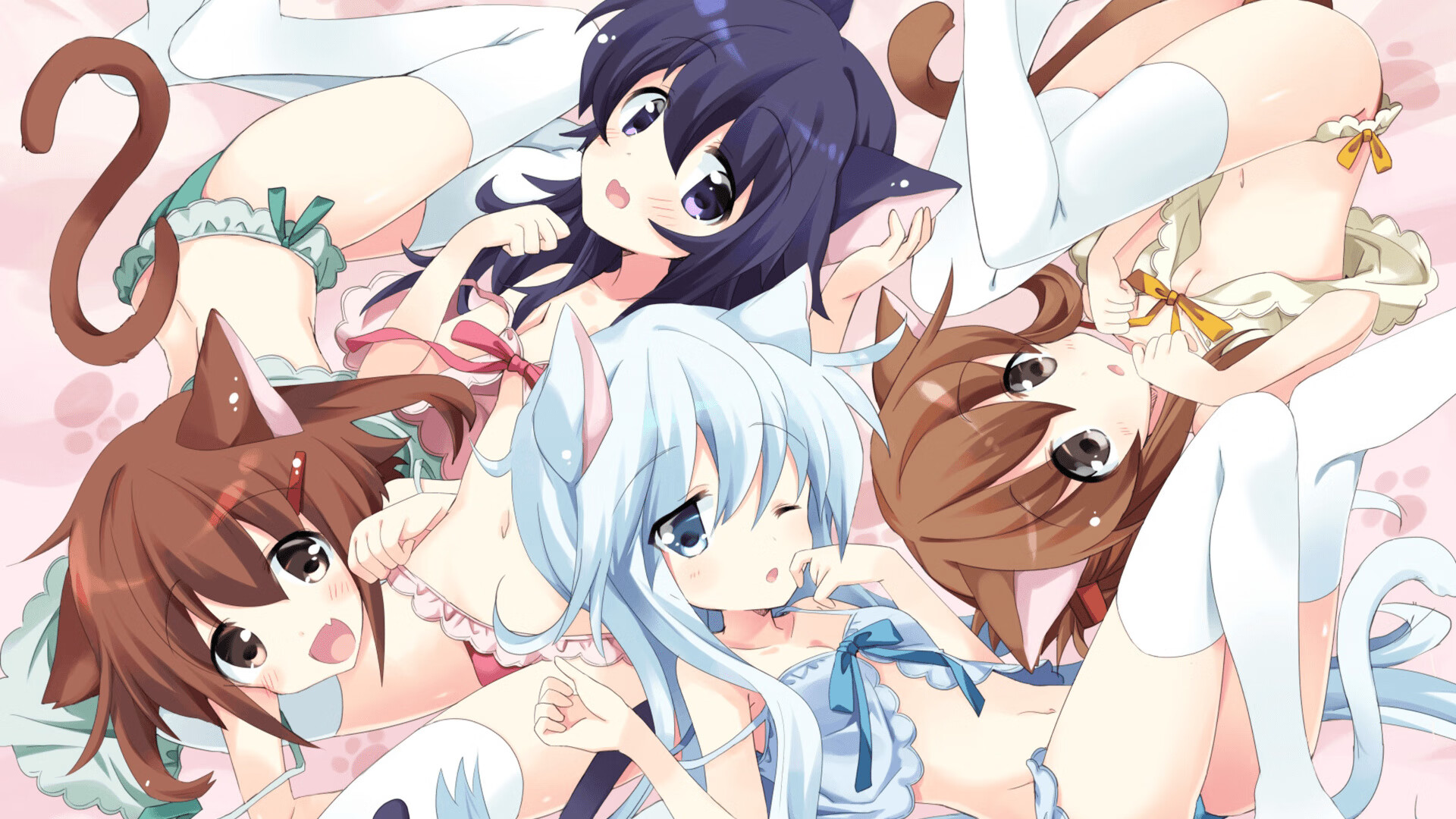 索尔福德城快速反击，半岛球场盼连胜，索尔福德大学