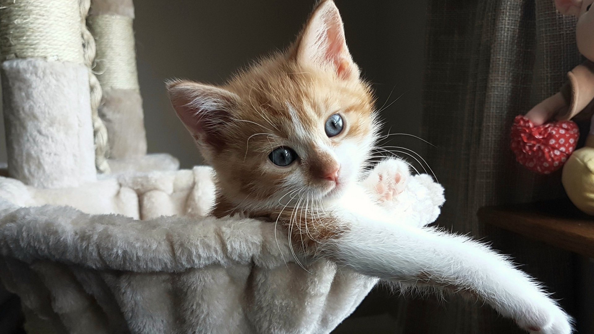 开云官方-索尔达托强调防线作用，国际米兰后卫表现绝佳，索尔达多