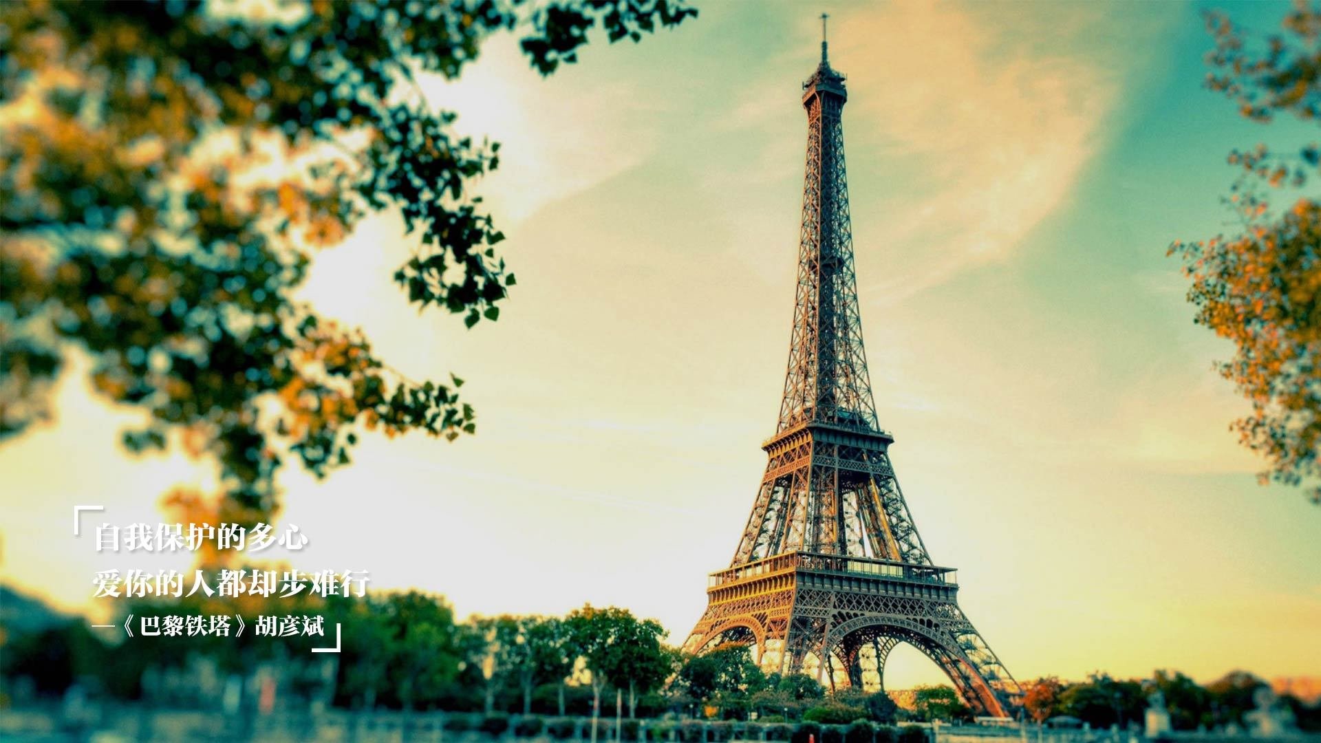 NBA球员市场价值变化,nba球员市场价值变化图