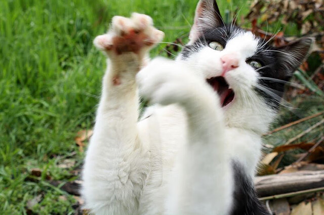 中国男篮优化三线轮换提升执行力,中国男篮三分线距离