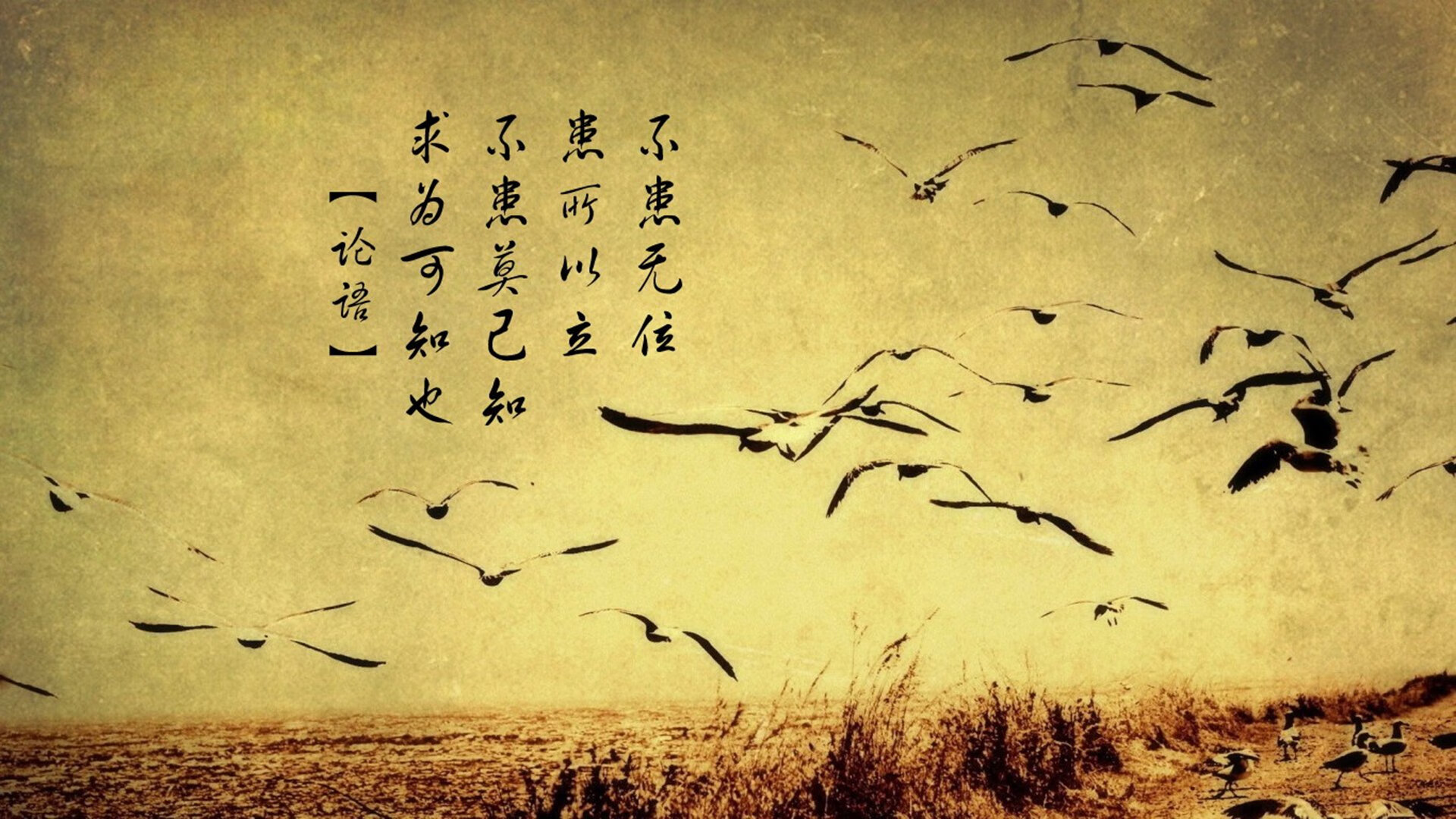 kaiyun.com-中国男篮执行力显著提升 球队凝聚力增强，中国男篮队内训练