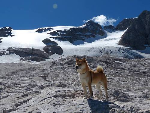 开云平台-中国篮球是否缺乏职业荣誉感激励体系，中国篮球队荣誉