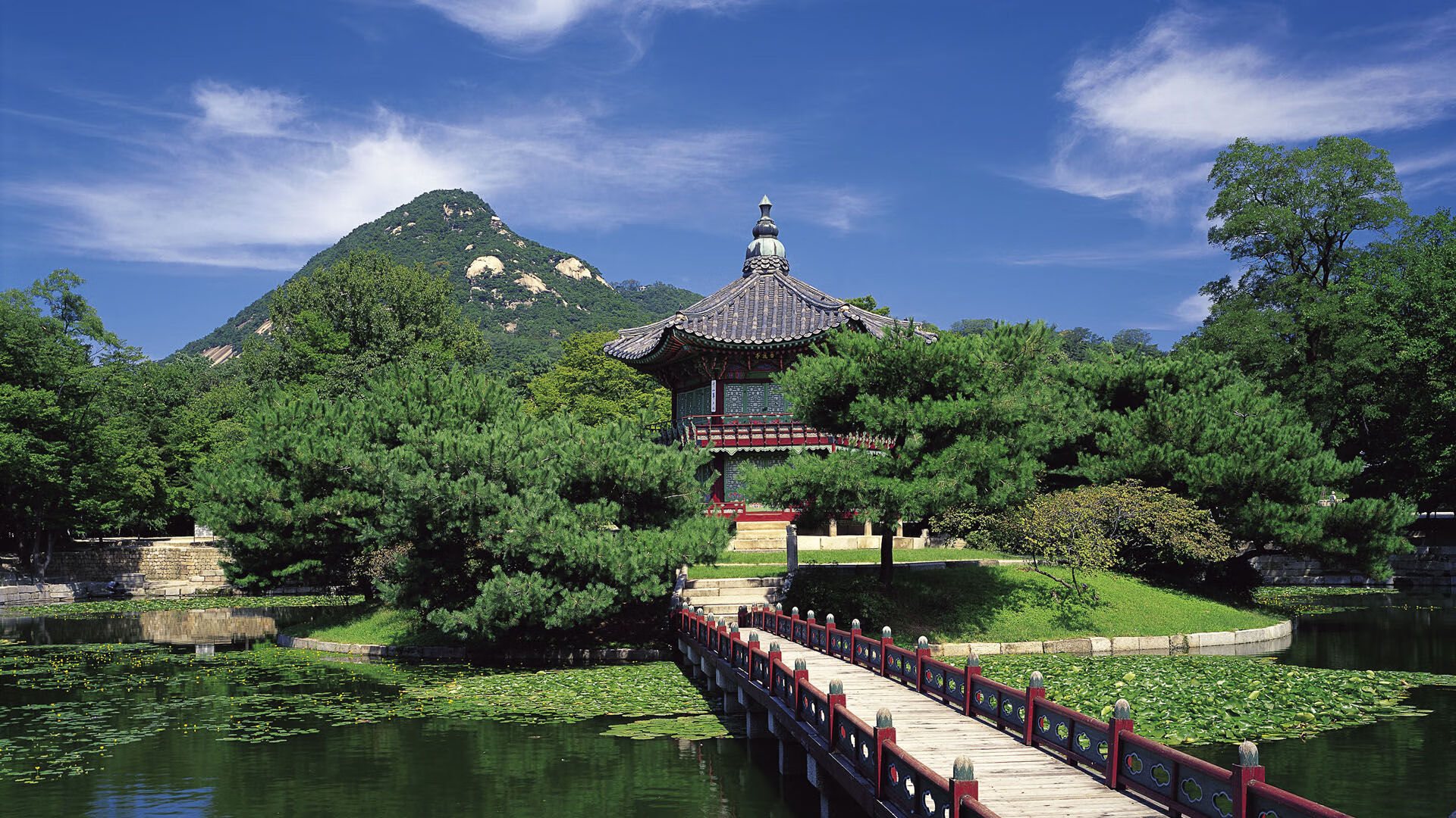 Kaiyun APP-大学生篮球联赛关注度激增有望输送更多人才，大学生篮球职业联赛