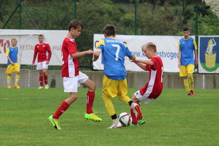 开云网页版登录入口-突尼斯希望进攻套路单一，被对手识破，突尼斯是啥意思