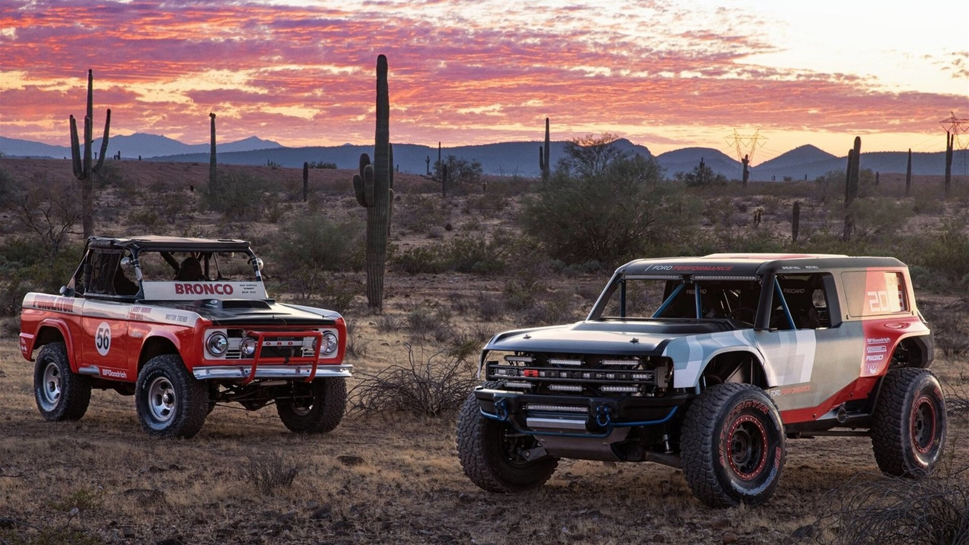 高校体育设施开放共享成效显著，高校体育设施建设