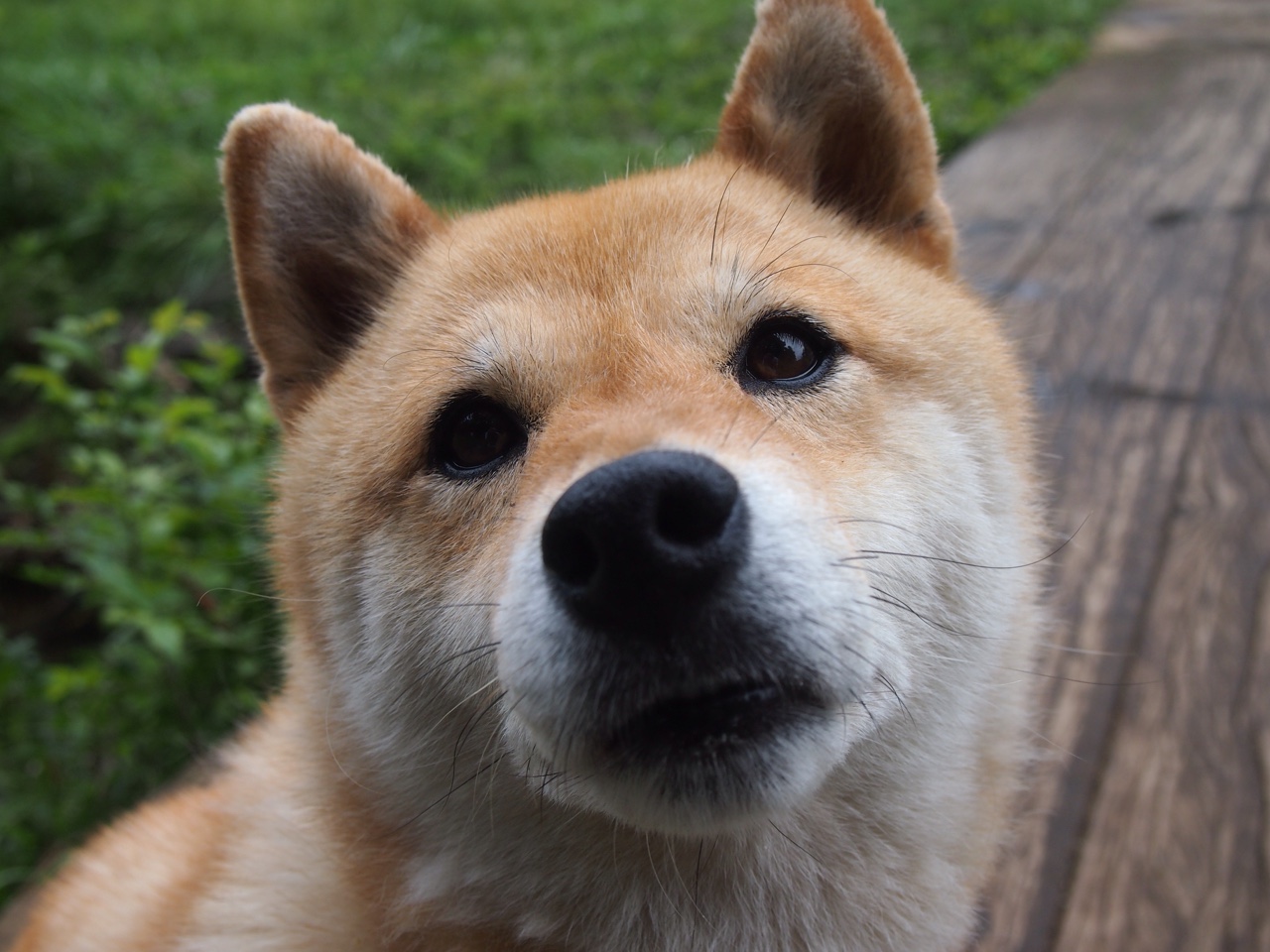 Kaiyun APP-凯蒂·莱德基保持领先优势锁定冠军，凯蒂芬得莱