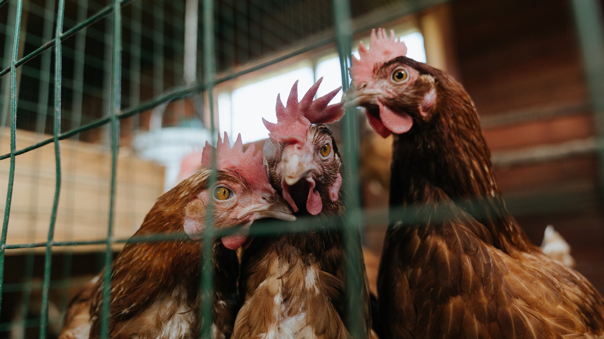 Kaiyun官方登录入口-国家体育总局发布新型体能评估系统试点学校名单，新体能标准