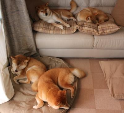 国家体育总局发布新型体能评估系统试点学校名单，新体能标准