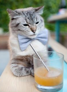 库里拍摄家庭短片展示生活一面，库里在家视频