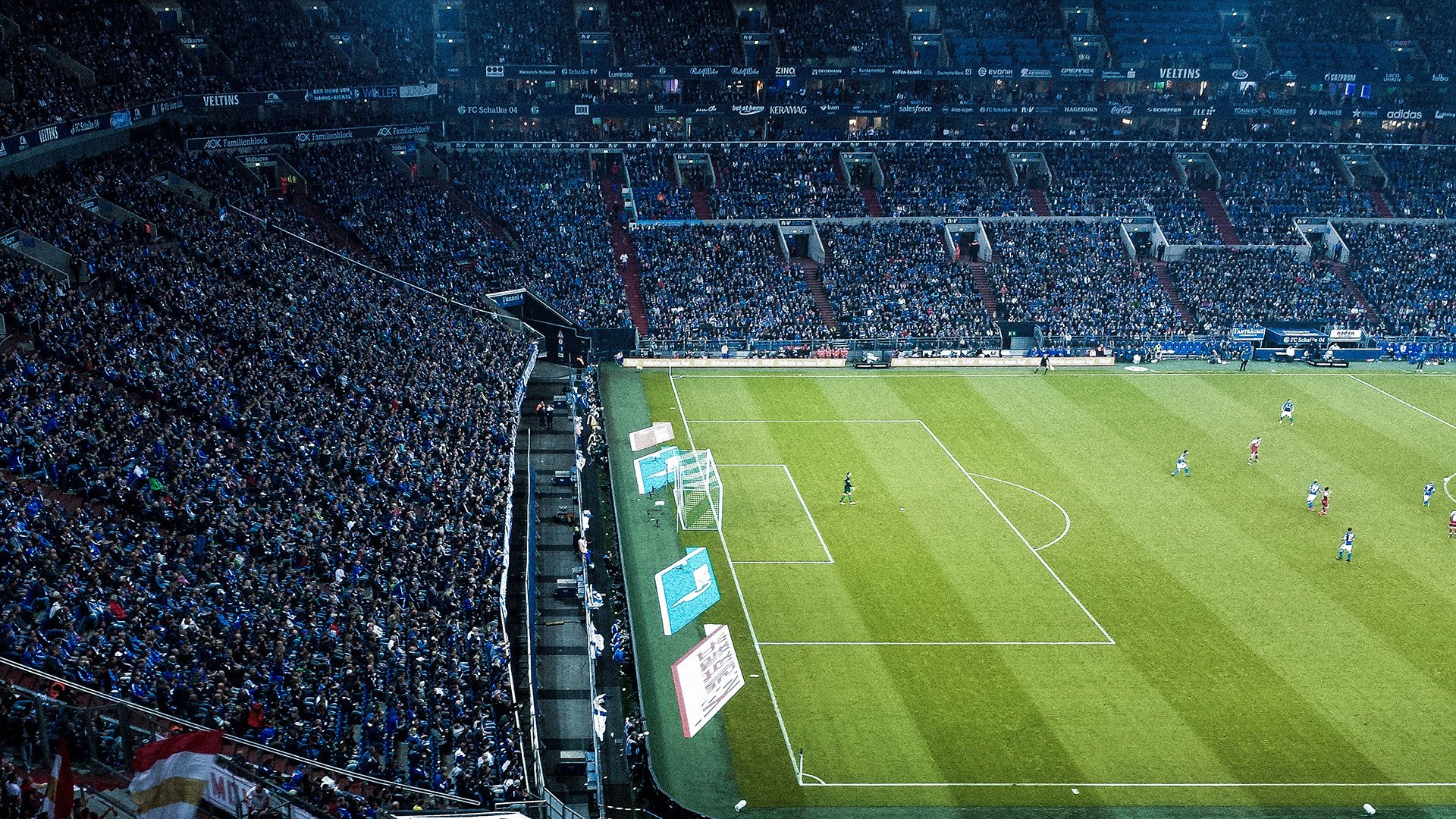 维尔·冯·威克：南非羚羊队的强力前锋，推动球队进攻