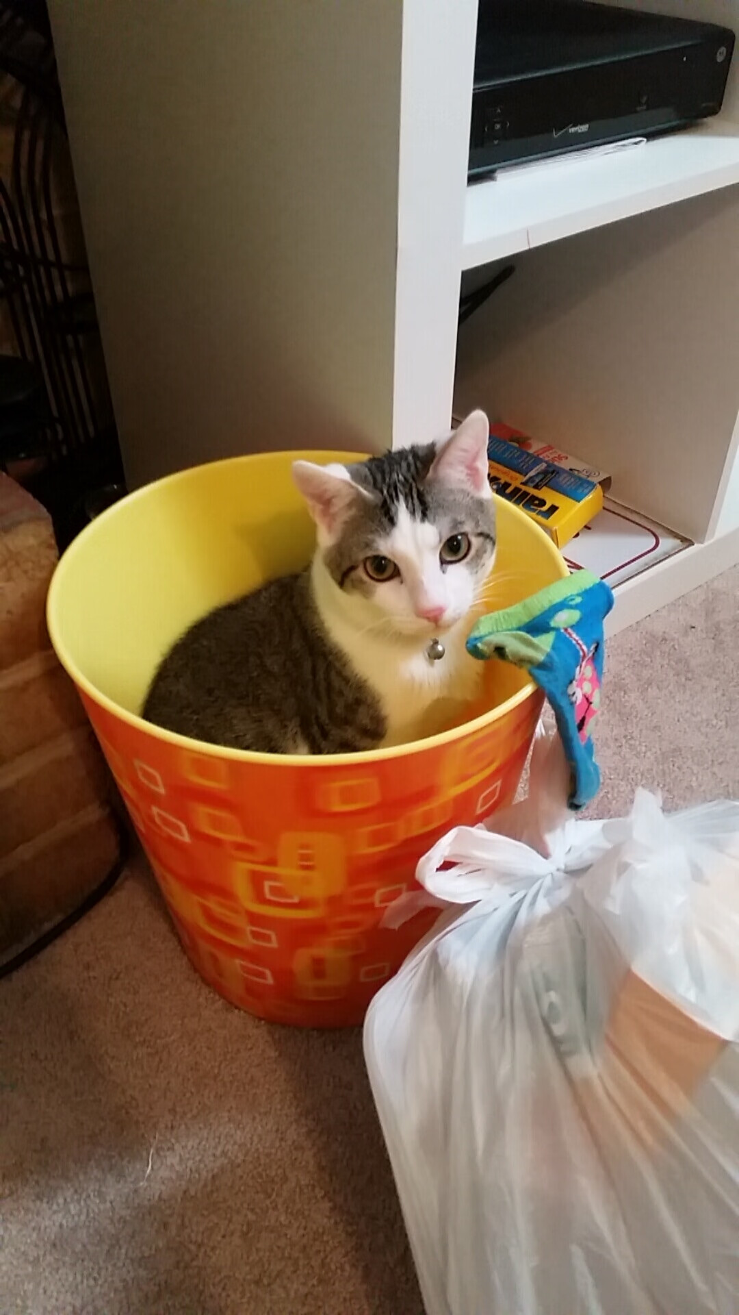 阿森纳青训潜力巨大，未来之星不断涌现