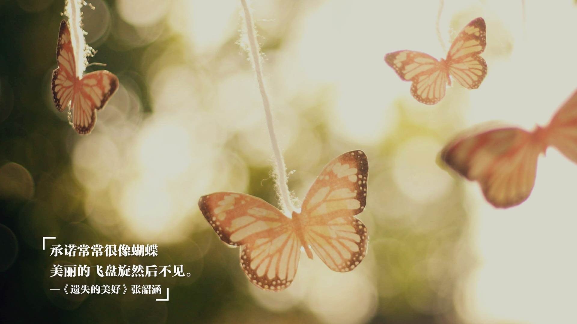 职业联赛推行家庭日活动增强球迷多样化参与,举办家庭日活动的注意事项